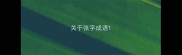 关于张字成语