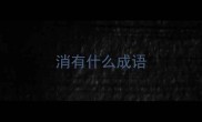 消有什么成语