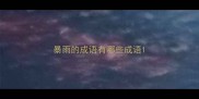 暴雨的成语有哪些成语