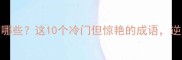 矜的成语有哪些这10个冷门但惊艳的成语逆袭人生必备