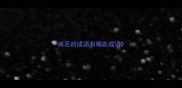 肩足的成语有哪些成语