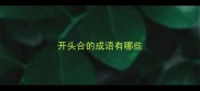 开头合的成语有哪些