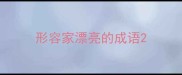 形容家漂亮的成语