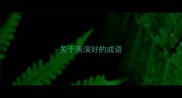 关于表演好的成语