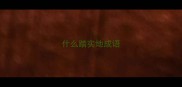 什么踏实地成语