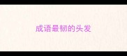 成语最韧的头发