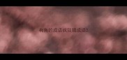 有角的成语疯狂猜成语