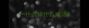 一什么神什么成语