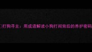 打狗寻主用成语解读小狗打闹背后的养护密码