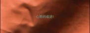 心愿的成语