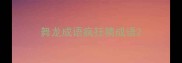 舞龙成语疯狂猜成语
