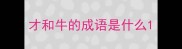才和牛的成语是什么