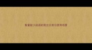 数量极少成语的常见分类与使用场景