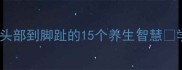 身体相关成语大全从头部到脚趾的15个养生智慧学会这些让健康更长久