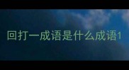 回打一成语是什么成语