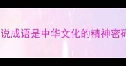 为什么说成语是中华文化的精神密码