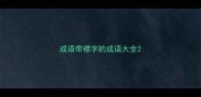 成语带襟字的成语大全