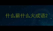 什么薪什么火成语