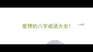 爱情的八字成语大全