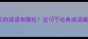 与鸟和心相关的成语有哪些这10个经典成语藏着千年智慧