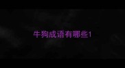 牛狗成语有哪些