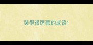 哭得很厉害的成语