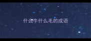 什么牛什么毛的成语