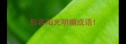 形容阳光明媚成语