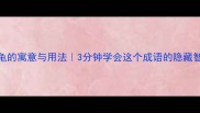 掌中握龟的寓意与用法3分钟学会这个成语的隐藏智慧