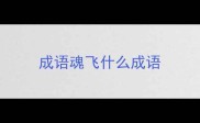 成语魂飞什么成语