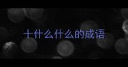 十什么什么的成语