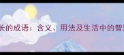 意味深长的成语含义用法及生活中的智慧应用
