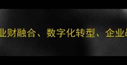 核心业精于勤业财融合数字化转型企业战略风险管理