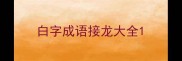 白字成语接龙大全