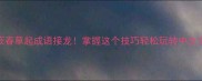 蔌蔌春草起成语接龙掌握这个技巧轻松玩转中文文化