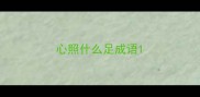 心照什么足成语