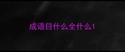 成语目什么全什么