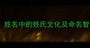 姓名学姓名姓名中的姓氏文化及命名智慧必知指南