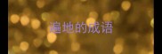 遍地的成语