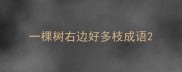 一棵树右边好多枝成语