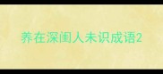 养在深闺人未识成语