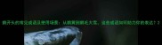 鹅开头的常见成语及使用场景从鹅黄到鹅毛大雪这些成语如何助力你的表达
