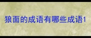 狼面的成语有哪些成语