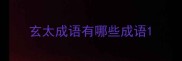 玄太成语有哪些成语