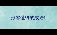 形容懂得的成语