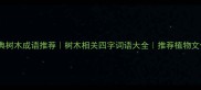 10个经典树木成语推荐树木相关四字词语大全推荐植物文化成语