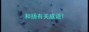 和扬有关成语