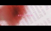 鹰开头的四字成语
