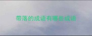 带落的成语有哪些成语