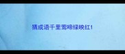 猜成语千里莺啼绿映红